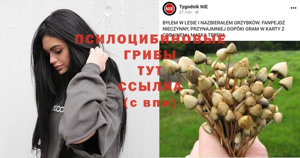 spice Белокуриха